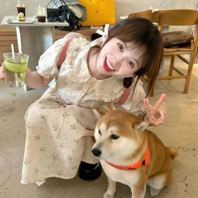 霸王贵妃